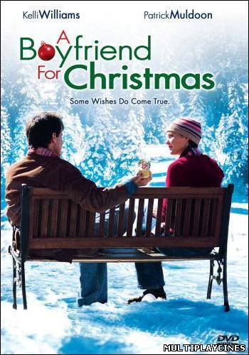 Ver Un novio por Navidad (2004) Online Gratis