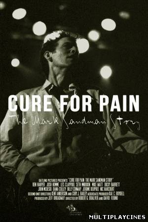 Ver Cure For Pain: The Mark Sandman Story (2011) Online Gratis