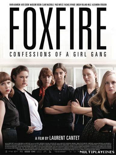 Ver Foxfire: Confessions of a Girl Gang (2012) Online Gratis