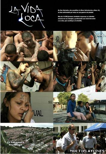 Ver La vida loca (2008) Online Gratis