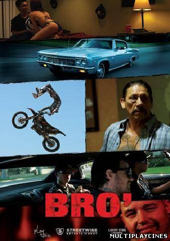 Ver Bro (2012) Online Gratis