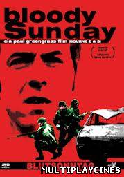 Ver Domingo sangriento: Bloody sunday (2002) Online Gratis