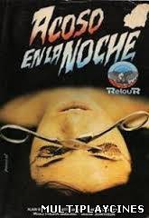 Ver Acoso en la noche (1980) Online Gratis