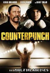 Ver Counterpunch (2013) Online Gratis