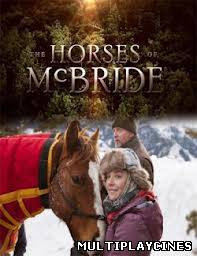 Ver The Horses of McBride (2012) Online Gratis