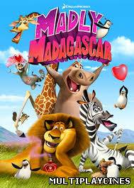 Ver Dreamworks’ Madly Madagascar (2013) Online Gratis