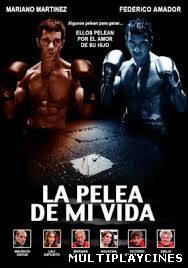 Ver La pelea de mi vida (2012) Online Gratis
