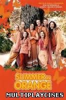 Ver My Life in Orange (2012) Online Gratis