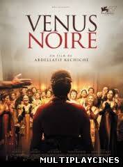 Ver Vénus noire (Black Venus) (2010) Online Gratis