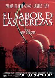 Ver El sabor de las cerezas (1997) Online Gratis