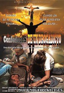 Ver Confesiones de un drogadicto (2012) Online Gratis