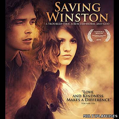 Ver Saving Winston (2011) Online Gratis