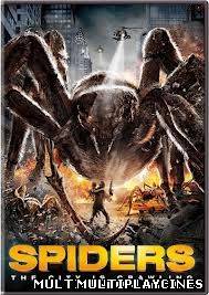 Ver Spiders (Spiders 3D) (2013) Online Gratis