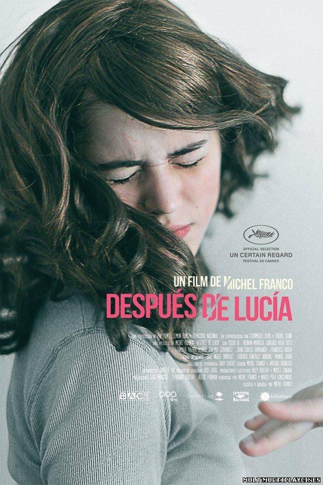 Ver Después de Lucía (2012) Online Gratis
