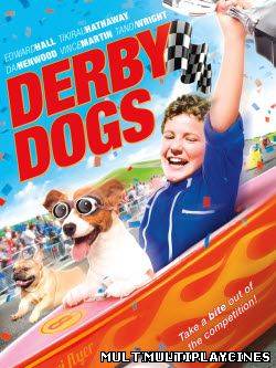 Ver Derby Dogs (Kiwi Flyer) (2012) Online Gratis