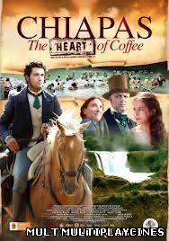 Ver Chiapas. El corazón del café (2012) Online Gratis