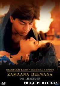 Ver Zamaana Deewana (1995) Online Gratis