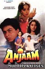 Ver Anjaam (1994) Online Gratis