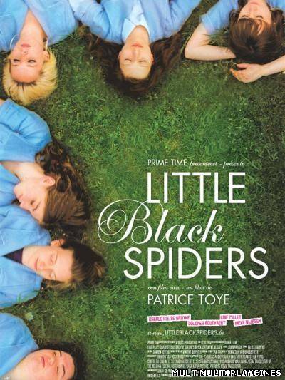 Ver Pequeñas arañas negras (Little Black Spiders) (2012) Online Gratis