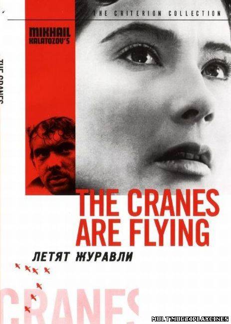 Ver Cuando pasan las cigüeñas (1957) Online Gratis