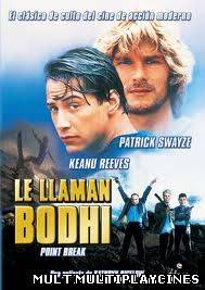 Ver Punto limite / Le llaman Bodhi (Point Break) (1991) Online Gratis