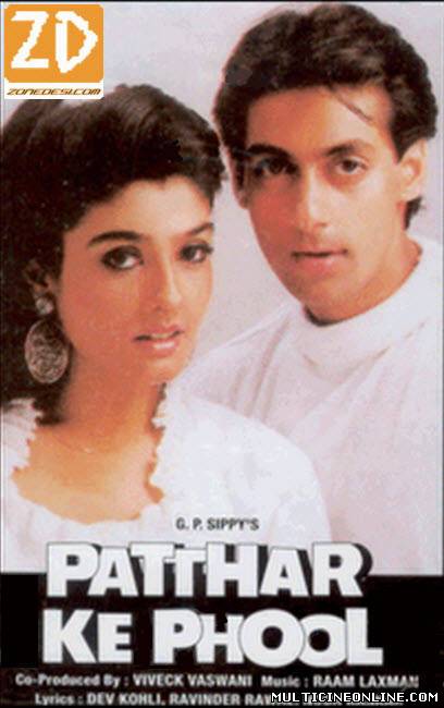 Ver Patthar Ke Phool (1991) Online Gratis