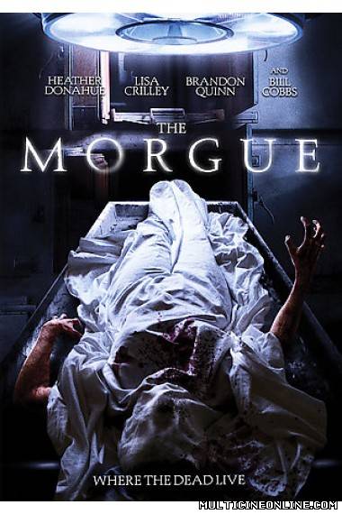 Ver The Morgue (2008) Online Gratis
