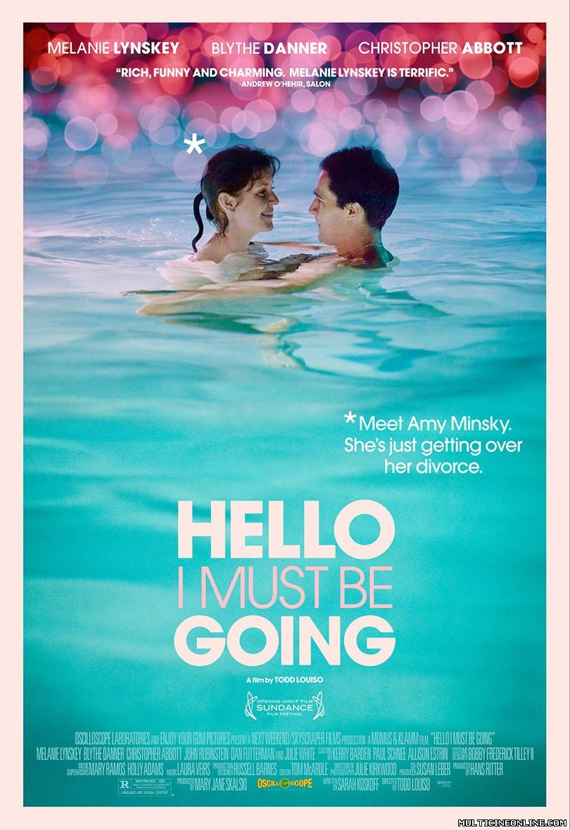 Ver Hello I Must Be Going (2012) Online Gratis