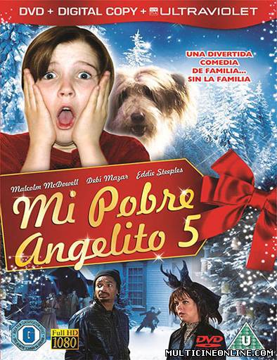 Ver Solo en casa 5 (Home Alone: The Holiday Heist (Home Alone 5)) (2012) Online Gratis