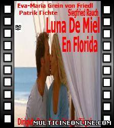 Ver Luna de miel en Florida (Honeymoon in Florida) (2007) Online Gratis