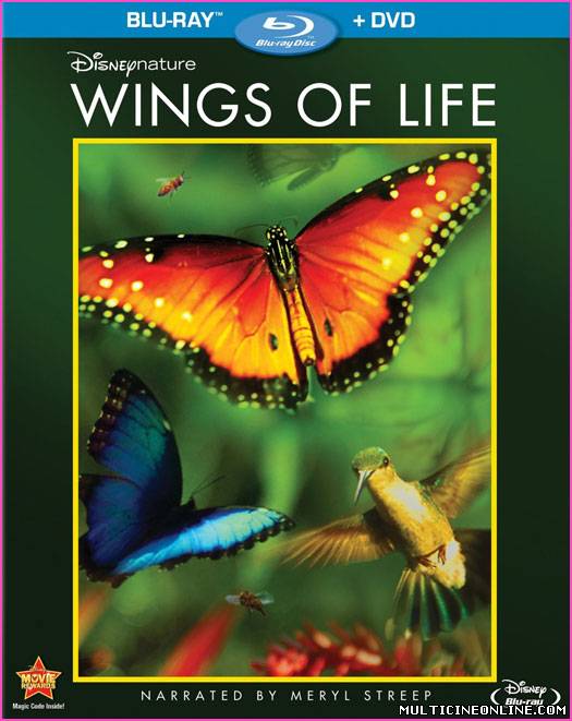 Ver Wings Of Life (2013) Online Gratis