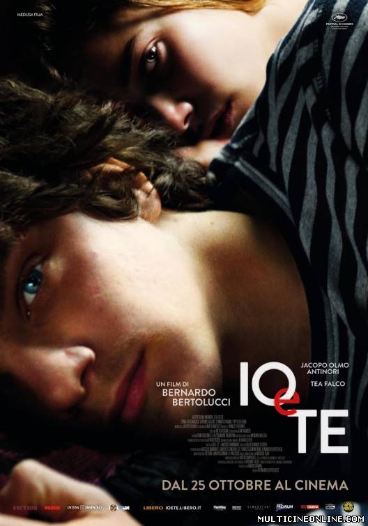 Ver Tú y yo (Io e te / Me and You) (2012) Online Gratis