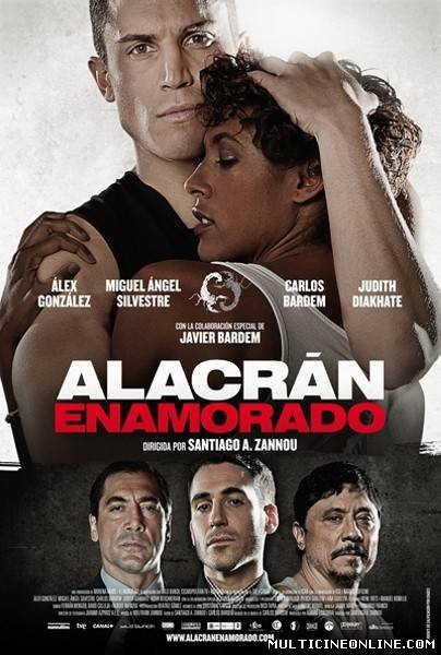 Ver Alacrán enamorado (Santiago Zannou) (2013) Online Gratis