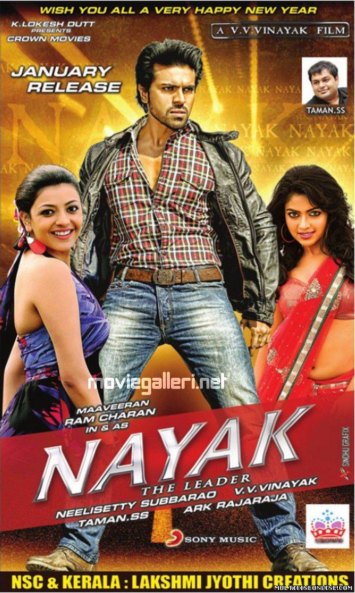 Ver Naayak (2013) Online Gratis